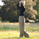 Pantalon femme en coton rayé camel/noir, vue 6 — Quintessence