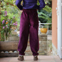 Pantalon Brieuc velours côtelé bordeaux