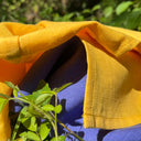 Nuancier Emeline & lingettes bambou