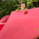 Nuancier Emeline & lingettes bambou