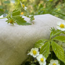 Nuancier Emeline & lingettes bambou