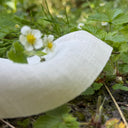 Nuancier Emeline & lingettes bambou