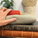 Coupon - lin beige 135 cm de laize - E22