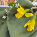 Pantalon Briac - lin vert pomme