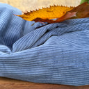 Robe Armande – velours côtelé bleu officier