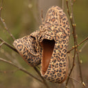 Colette – Léo cuir velours - Quintessence