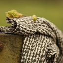 Pantalon Briac - Armuré de coton Savane graphique - Quintessence