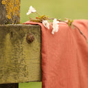 Pantalon Briac - lin terre cuite - Quintessence