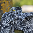 Robe Joanne — Double gaze de coton coquillages - Quintessence